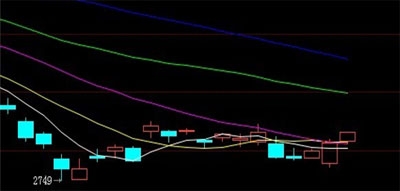 王志立活动5.jpg