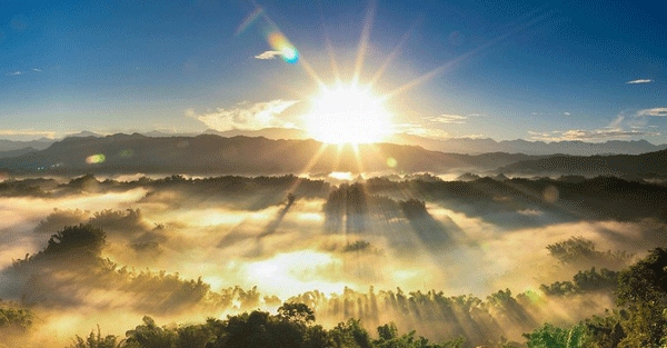 39072571b71f73fd3e0056e485030b66_b.gif