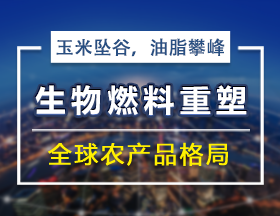 玉米坠谷，油脂攀峰：生物燃料重塑全球农产品格局