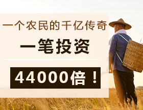 一个农民的千亿传奇，一笔投资，44000倍！
