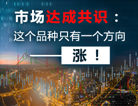 他们说：这个品种只有一个方向——涨！