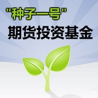 '种子一号'多盘手多策略期货投资基金