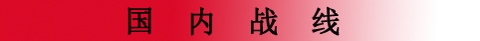 国内战线